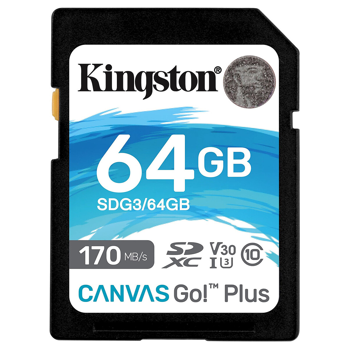 Kingston SD Plus Canvas Go! SDG3/64GB