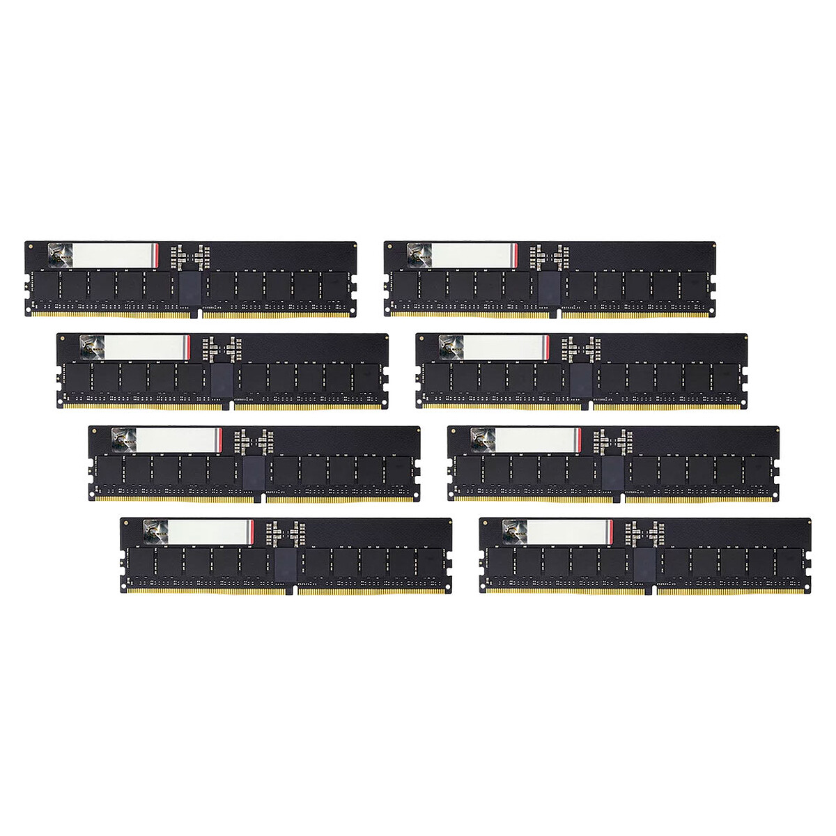 G.Skill G5 256 Go (8 x 32 Go) DDR5 ECC Registered 6000 MHz CL30