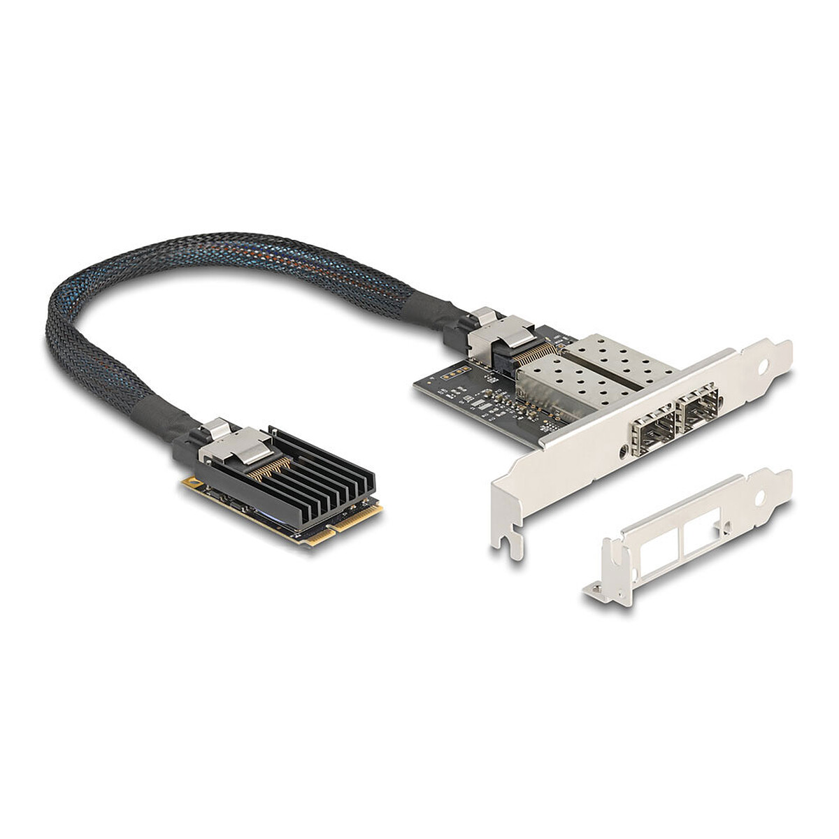 DeLock Carte réseau Mini PCI Express avec 2 ports SFP Gigabit Ethernet - Delock