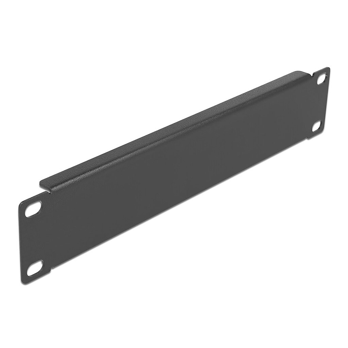 DeLock Panneau plein 1U pour armoire réseau 10" - Delock
