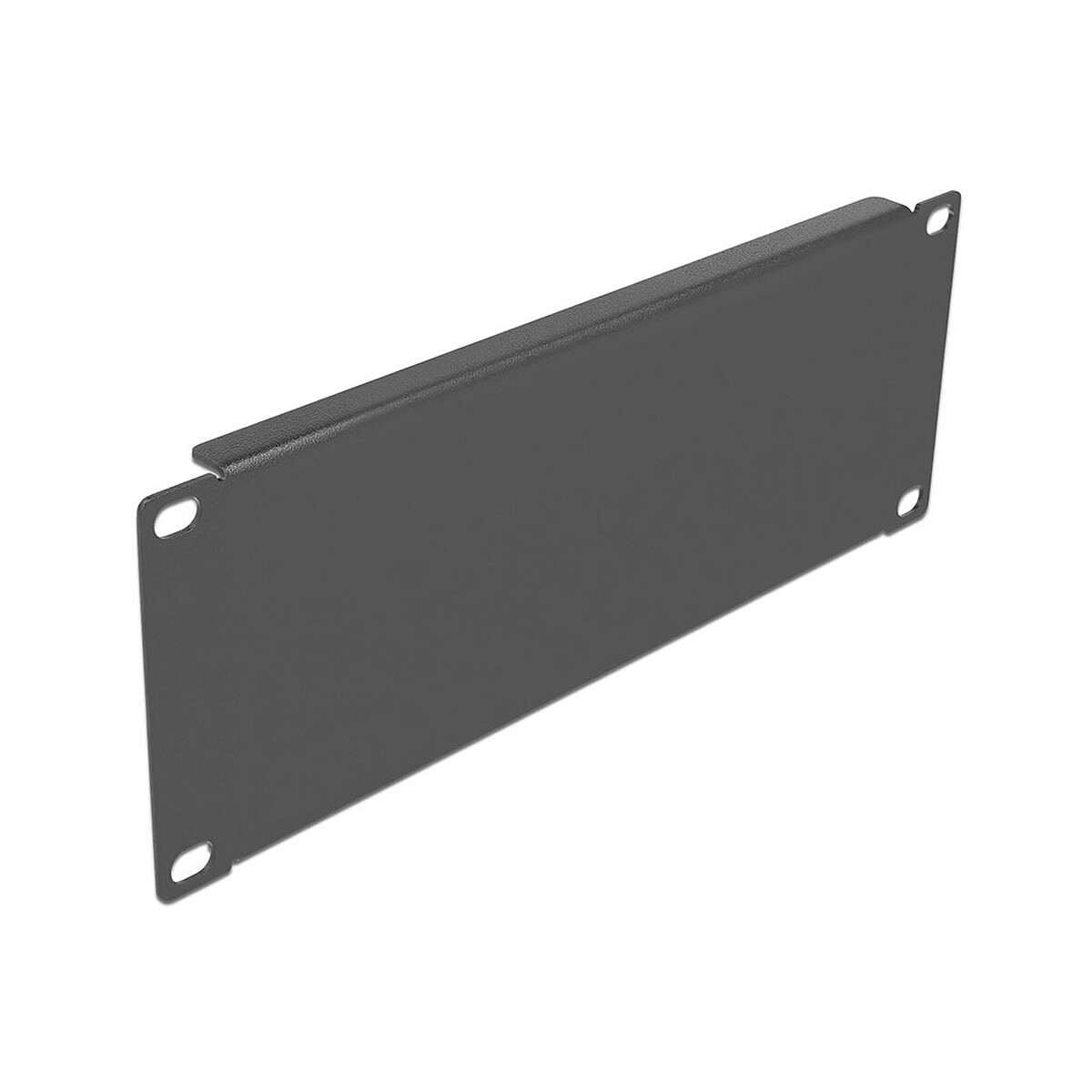 DeLock Panneau plein 2U pour armoire réseau 10" - Delock