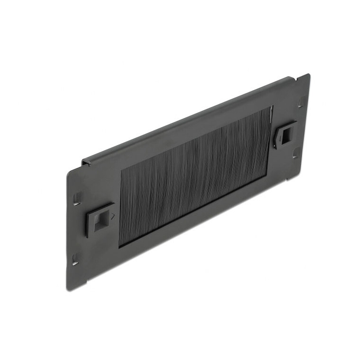 DeLock Panneau passe-câble à brosse 2U pour armoire réseau 10" - Delock