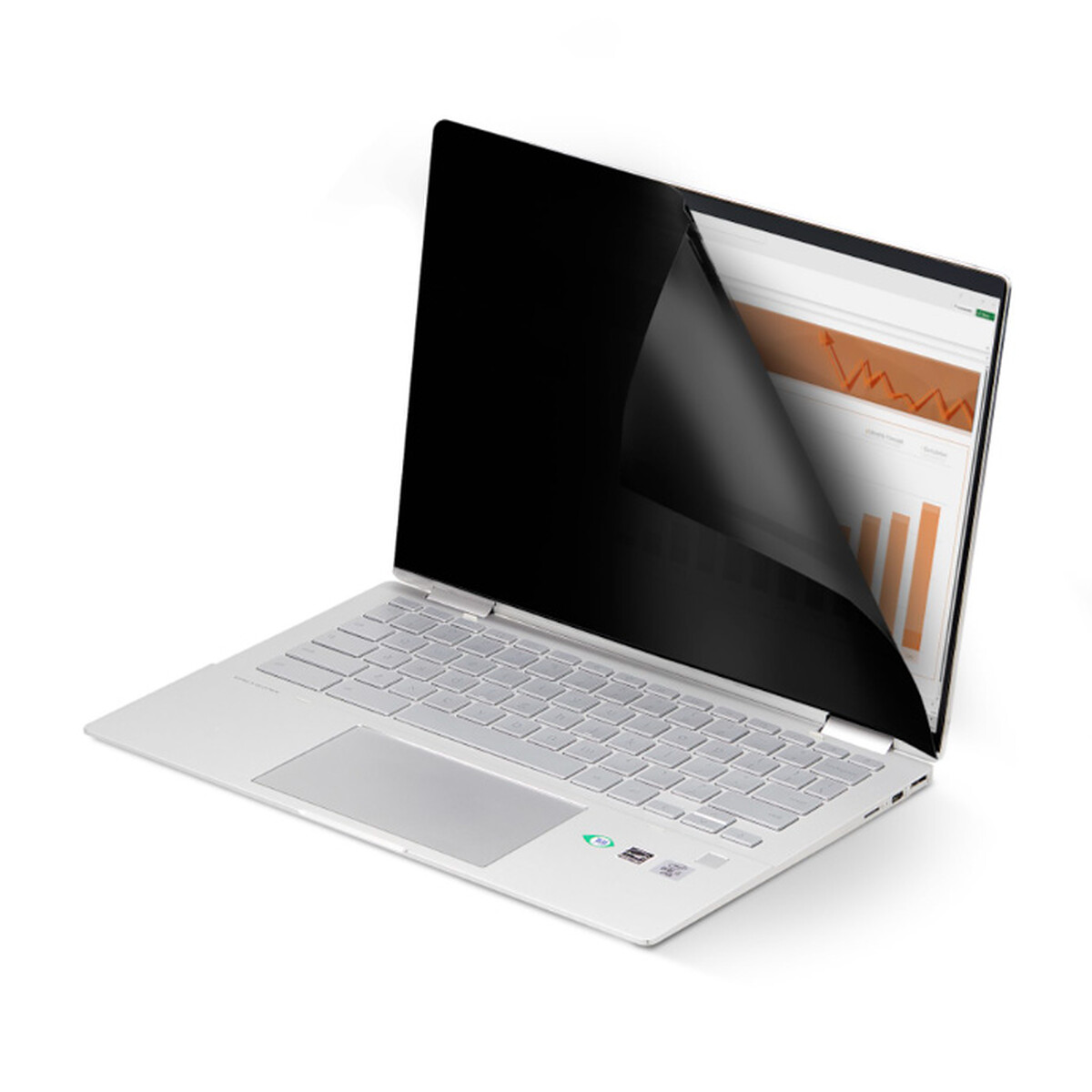 StarTech.com Filtre de ConfidentialitéFiltre Antireflet Tactile 14 - vue 2