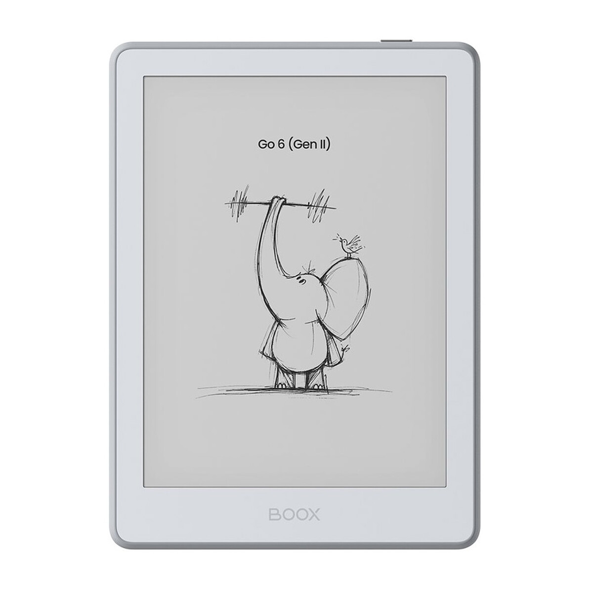 Boox Go 6" (Gen II) Stone
