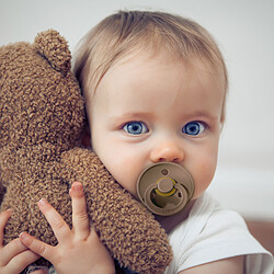 Acheter Bibs Lot de 2 Sucettes Rondes Colour Blush et Dark Oak - 0/6 Mois