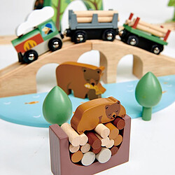 Avis Tender Leaf Toys Set de Train Pins Sauvages