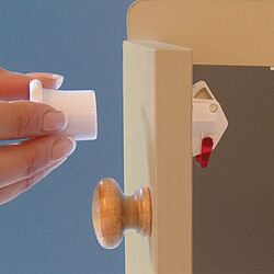 Sécurité domestique