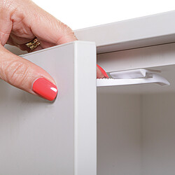 Sécurité domestique