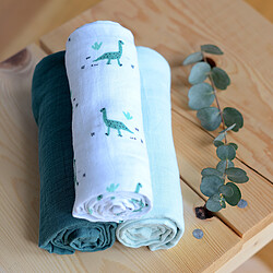 BÉABA Boîte de 3 Langes - Jurassic