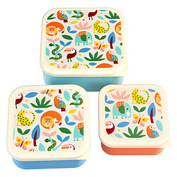 Rex London Lot de 3 Boîtes - Wild Wonders
