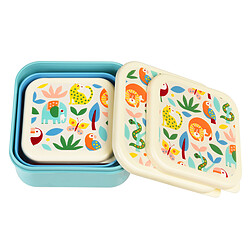 Avis Rex London Lot de 3 Boîtes - Wild Wonders