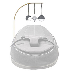 Avis Babymoov Arche de Jeux Seat'n Swing - Grey