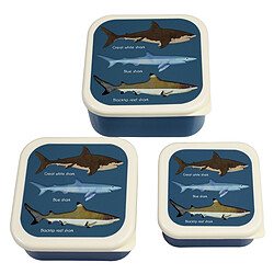 Rex London Lot de 3 Boîtes - Requins