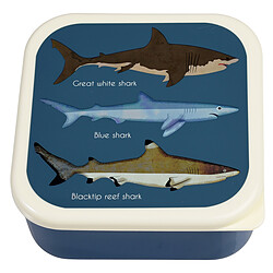 Avis Rex London Lot de 3 Boîtes - Requins