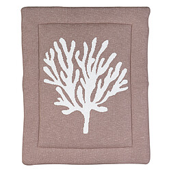 Quax Fond de Parc Tricot - Algue