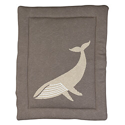 Quax Fond de Parc Tricot - Baleine