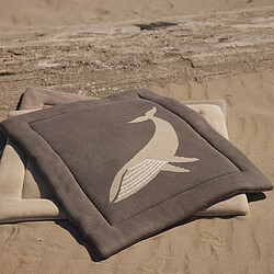 Avis Quax Fond de Parc Tricot - Baleine