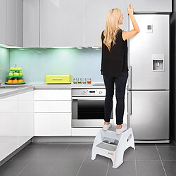 Avis Dreambaby Marchepied 2 Marches Toddler & Me - Gris