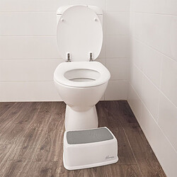 Avis Dreambaby Marchepied 1 Marche Toddler & Me - Gris