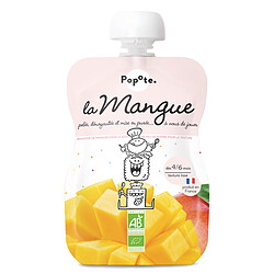 Popote Gourde Repas Bio Mangue - 120 g