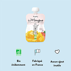 Acheter Popote Gourde Repas Bio Mangue - 120 g