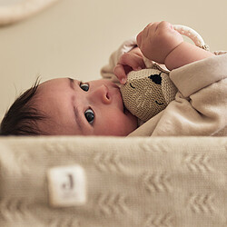 Jollein Anneau de Dentition Fox