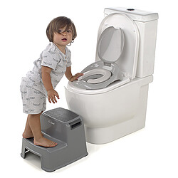 Jané Marchepied 2 Marches - Gris