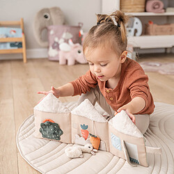 Eveil et premières lectures