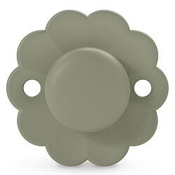 Suavinex Sucette Réversible SX Pro Wonder Hedge Green - 6/18 Mois