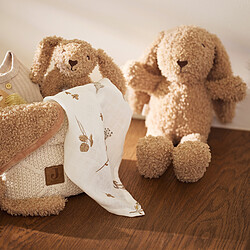 Doudou et peluche