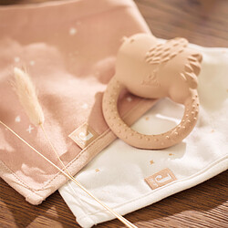 Jollein Anneau de Dentition Lovely Birds - Wild Rose