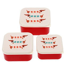Rex London Lot de 3 Boîtes - Chien Saucisse