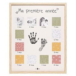 Petit Artichaut Ma Première Année