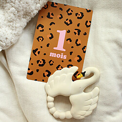 Ma petite vie Cartes Etapes - Mes 12 Premiers Mois