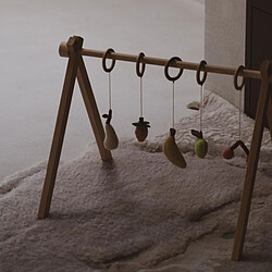 Quax Lot de 5 Jouets à Suspendre - Fruits