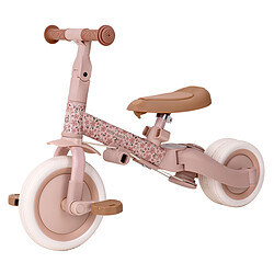 Avis Little Dutch Tricycle 4-en-1 - Pink