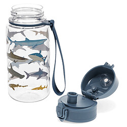Avis Rex London Gourde de Sport Requins - 450 ml