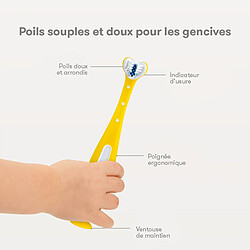 Acheter Brosse à Dents à Trois Angles SmileFrida