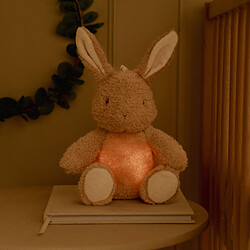 Little Dutch Peluche Musicale et Lumineuse Lapin - Newborn