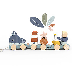 Speedy Monkey Train d'Eveil Océan à Tirer 