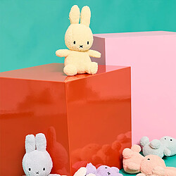 Bon Ton Toys Lapin Miffy Terry Pêche - Petit