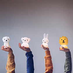 Acheter Mr Maria Mini Veilleuse Bundle of Light Snuffy - Blanc