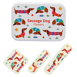 Rex London Boîte de Pansements - Sausage Dog