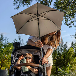 Avis Ezimoov Parasol Universel