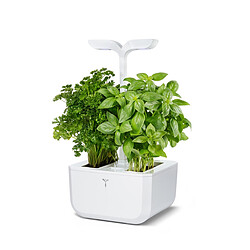 Potager connecté