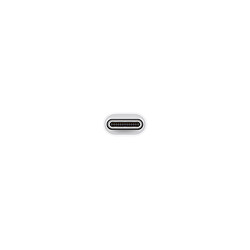 Apple Adaptateur USB-C vers USB - MJ1M2ZM/A