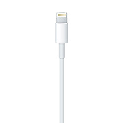 Câble orignal Apple Lightning vers USB - 0.5M