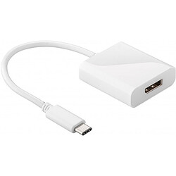 Adaptateur USB 3.1 type C vers DisplayPort