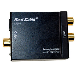 Real Cable CAN-1