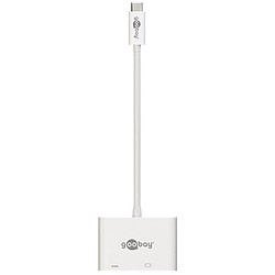 Goobay Adaptateur USB-C / DVI (M/F) Adaptateur USB-C vers DVI et USB-C femelle